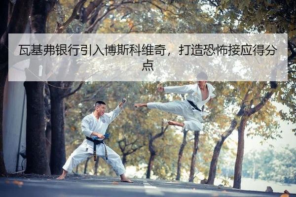 wa-ji-fu-yin-hang-yin-ru-bo-si-ke-wei-qi-da-zao-kong-bu-jie-ying-de-fen-dian-2-179.jpg